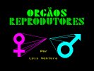 Captura 1 de Órgãos Reprodutores