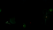 Captura 4 de Last Breath