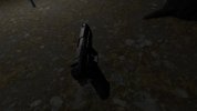 Captura 5