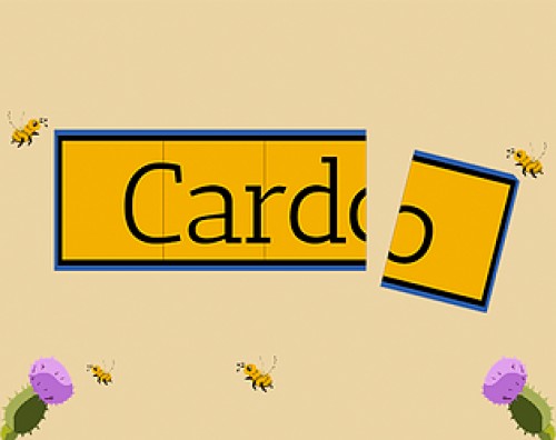 Cardo