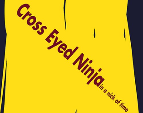 Cross Eyed Ninja - in a nick of time