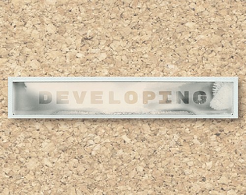 DEVELOPING
