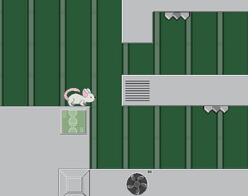Lab Rat