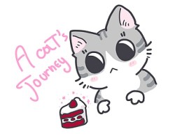A cat's journey