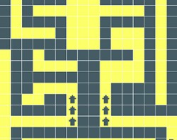 Coin explorer