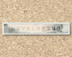 DEVELOPING