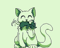 Feed Me Right Meow