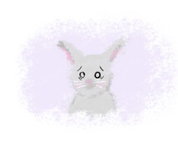 Instinct