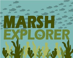 Marsh Explorer