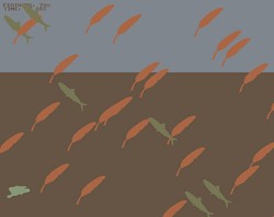 Plumas e Sardinhas