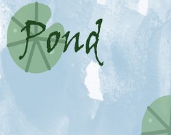 Pond 🐸
