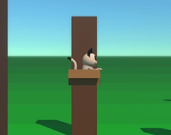 Project Cat