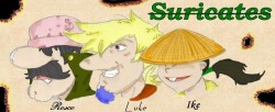 Suricates