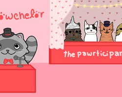 The Meowchelor