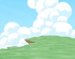 The Sky Above