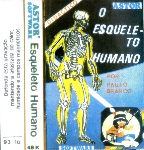 O Esqueleto Humano