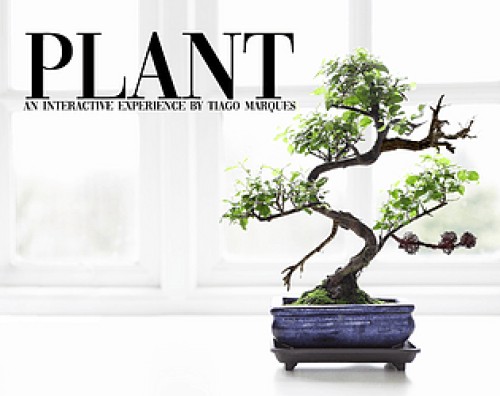 PLANT