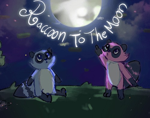 Raccoon to the Moon