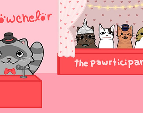 The Meowchelor